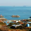 테마투어(해양생태 체험) 이미지