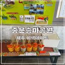 중문올레 | 제주 이색 데이트 중문 승마공원 바다전망이 보이는 해변 올레코스 후기 with 카페 여백