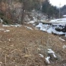 민둥산햇살좋은펜션 이미지