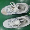 운동화세탁나라 이미지