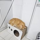 친절한마음약국 이미지