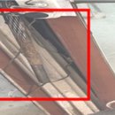 야산염소 이미지