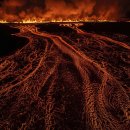 금주의 월드 보도사진: 폭풍 강화 사이클론, 무지개 언덕, 센트럴파크의 매 이미지