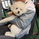 소래산커피 | [인천/시흥/소래산] 만의골 바베큐식당 인더캠핑 애견동반 후기