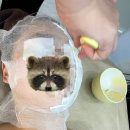 더로앤뷰티 | 역곡웨딩피부관리 더뷰티스킨앤왁싱 솔직 후기