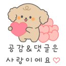 펫티시에 이미지