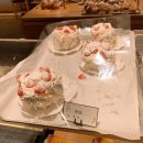 커피식구