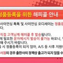 주니어서점 이미지
