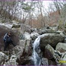 백동농장 이미지