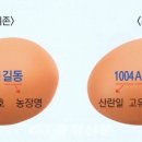 홍성축산물 이미지