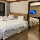 고창골프존 이미지