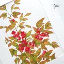 푸르윤스튜디오