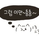 여니네 펫공방 이미지