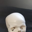 아람과학사 이미지