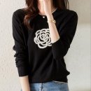 4977 이미지