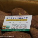무안원조식품 이미지