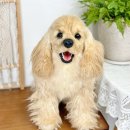 코카공방