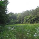 신계주유소 이미지