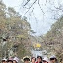 세종라온회,만산홍엽 주왕산 계곡 숲길 걸으며 즐거운 한때 보내 이미지