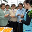 방문농장 이미지