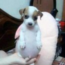 반야어린이집 | 행운을 빌어줘🍀