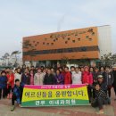 늘푸른나무 이미지