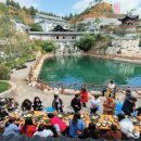 천풍농장 이미지