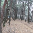 마비정 누리길 이미지