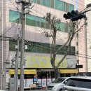 대구선동촌공원3 | 효목막창 | 동촌유원지막창 맛집, 생막창 진짜 맛있는 곳 🥩