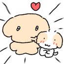 스테이지리산아침 이미지