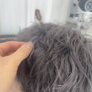 살롱드존 | 전주신시가지미용실 살롱드존에 다녀왔어요~