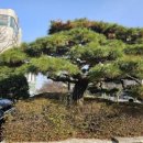 (유성-109) 이미지