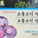 육면채일광점 이미지