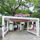 더관저우리들약국 | 청와대 생생투어 관람 포인트 제대로 된 정보 춘추관 대통령관저 산책로 상춘재 녹지원 주목