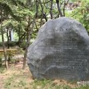 신트리공원 축구장 이미지