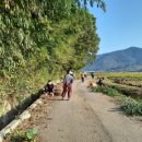 예리마을안길 이미지