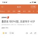 홍준표 대구시장, 프로야구 시구 이미지