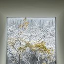 세종로237번길 이미지