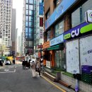 서울특별시 강남구/ 애완 동반 가능한 해머스미스 커피 뱅뱅사거리점 내돈내산 매장 이용 후기