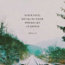 손두부촌 이미지