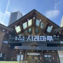 시래마루 초월점 | 경기광주맛집 시래마루 초월점 내돈내산 후기 굴솥밥 변경