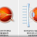 순천이노티안경원 법원점 이미지