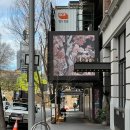 나래목장 | 시드니 브런치 카페 싱글 오(Single O) 웨이팅, 아기랑 시드니 브런치 맛집 방문 후기