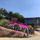 동화마을 - 중구 동화마을길 32 | 동화마을