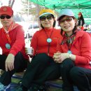 서울YMCA다락원캠프장 이미지