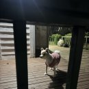 제주스카이라인휴양펜션 이미지