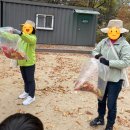 둘리쌍문공원 유아숲체험장 | 도봉구 둘리유아숲체험원 가는길 주말 무료 숲체험 예약 초등 어린이