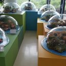 제주해양동물박물관 이미지