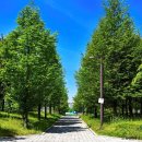 향남2 화합공원 축구장 이미지