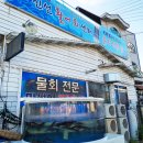 영덕물회 이미지